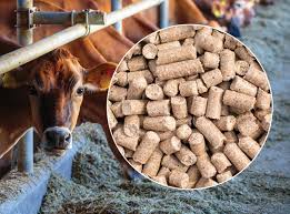 cattle feed